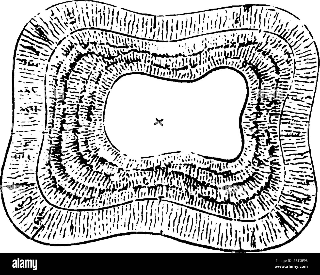 Sección de transferencia de diente humano mostrando todas las capas de diente, dibujo de línea vintage o ilustración de grabado. Ilustración del Vector