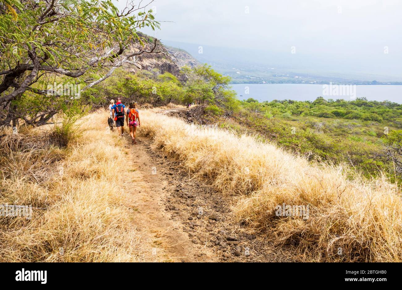 Un grupo de personas y un perro caminando hacia el Parque Histórico Estatal de Kealakekua Bay y el Monumento del Capitán Cook para hacer esnórquel, Capitán Cook, Hawai'i, Foto de stock