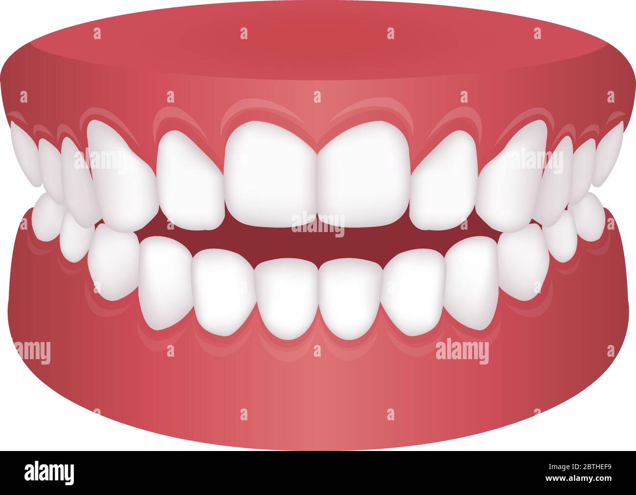 Dentadura Abierta Im genes Vectoriales De Stock Alamy