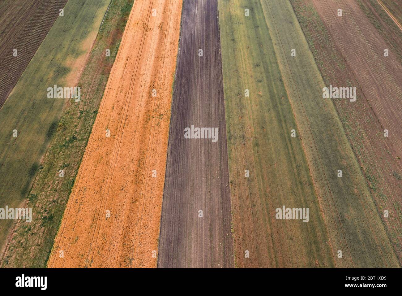Vista aérea de campos cultivados, fotografía de drones como patrón de fondo natural abstracto Foto de stock