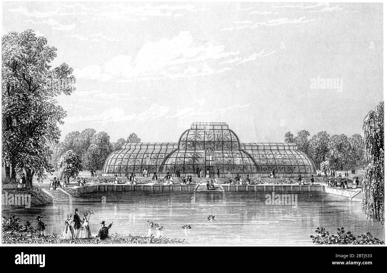 Un grabado de los Jardines de Kew de Palm House escaneado a alta resolución de un libro impreso en 1851. Se cree que esta imagen está libre de todo derecho de autor. Foto de stock