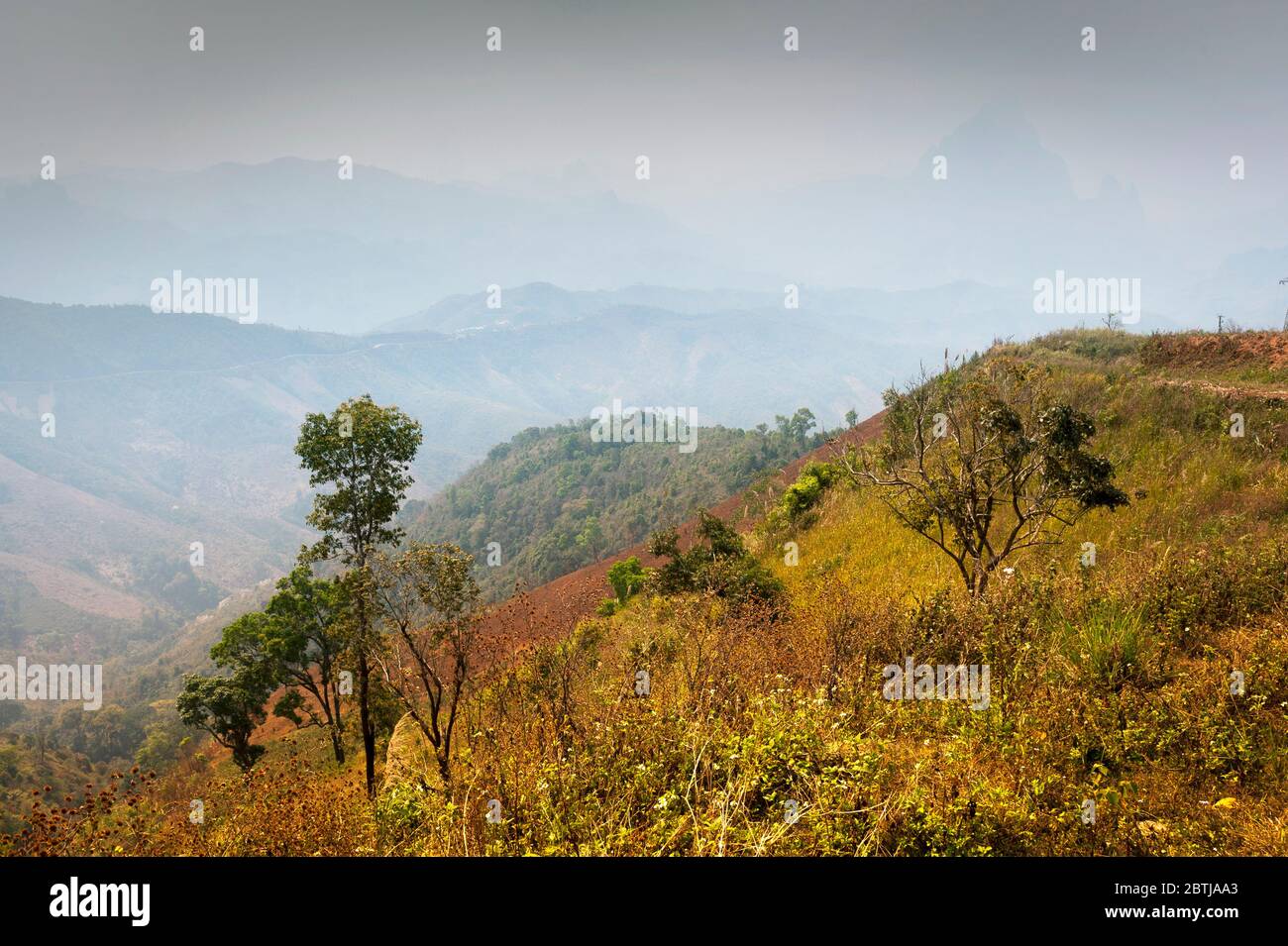Árboles y arbustos en el campo, el norte de Laos, el sudeste de Asia Foto de stock
