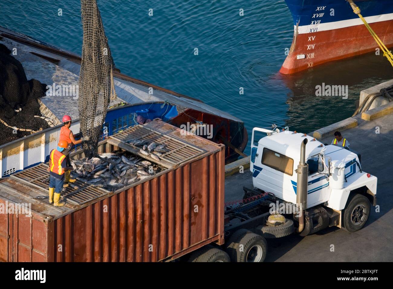 Descarga de atún de barco pesquero, Ciudad de Manta, Provincia de