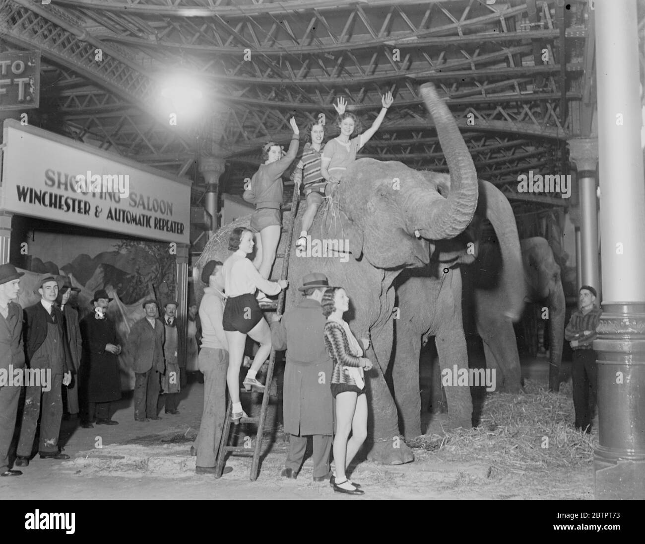 Bertram Mills Circus en Olympia. Las diez chicas de Millimeter visitan los elefantes. 19 de diciembre de 1932. Foto de stock