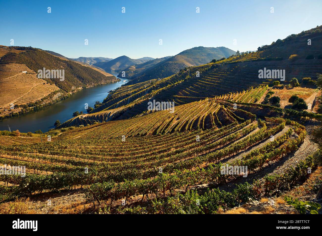 El valle del río Duero, en el norte de Portugal, es el lugar de nacimiento de Port Wine. La región es conocida por sus viñedos, almendros y olivos. Foto de stock