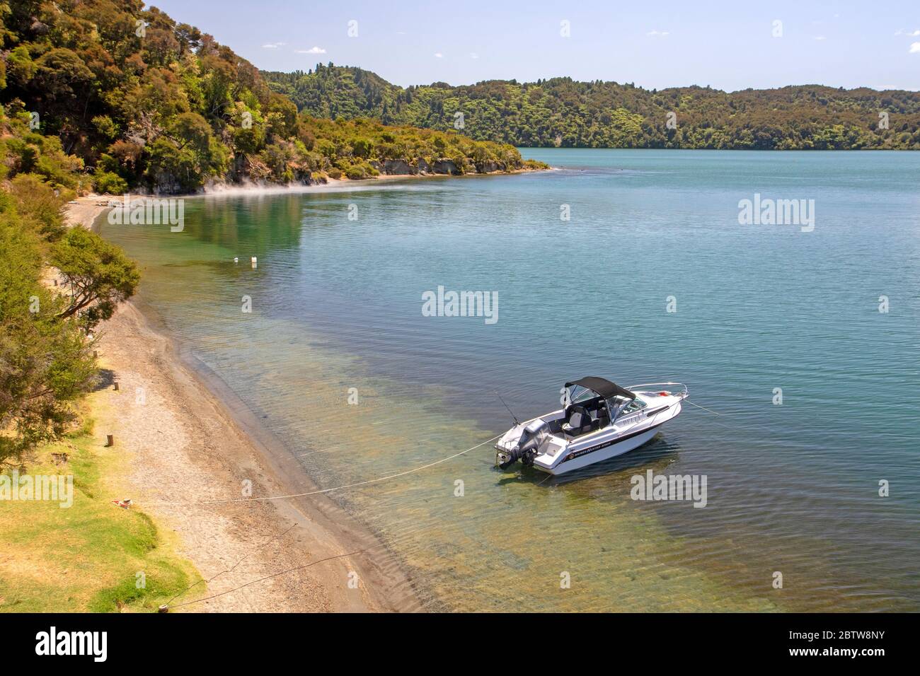 Playa de agua caliente en el lago Tarawera Foto de stock