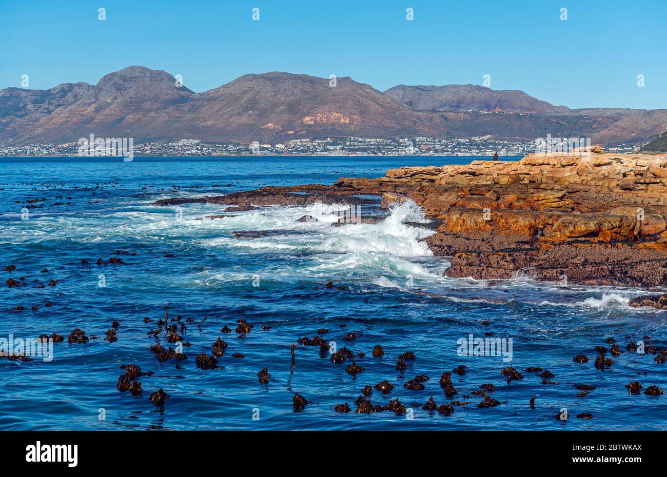 Olas fuertes rompiendo a lo largo de los acantilados por Kalk Bay, Ciudad del Cabo, Sudáfrica. Foto de stock