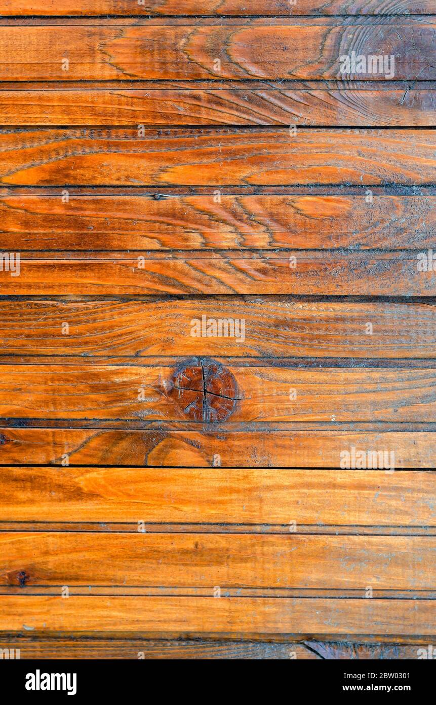 Tablas barnizadas. Escudo de madera hecho de tablas barnizadas