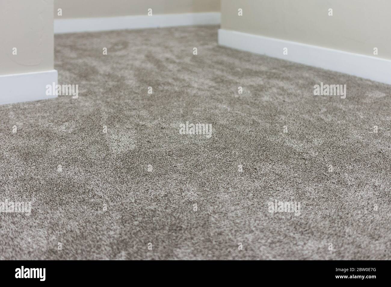 Neutral carpet fotografías e imágenes de alta resolución - Alamy