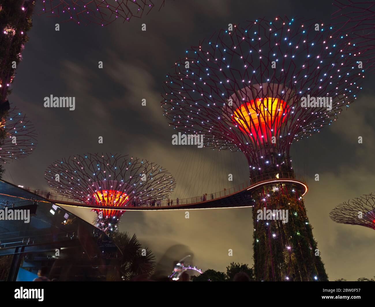 dh Supertree grove GARDEN BY THE BAY SINGAPUR Supertrees Luz nocturna show Super Tree en los jardines del cielo Foto de stock