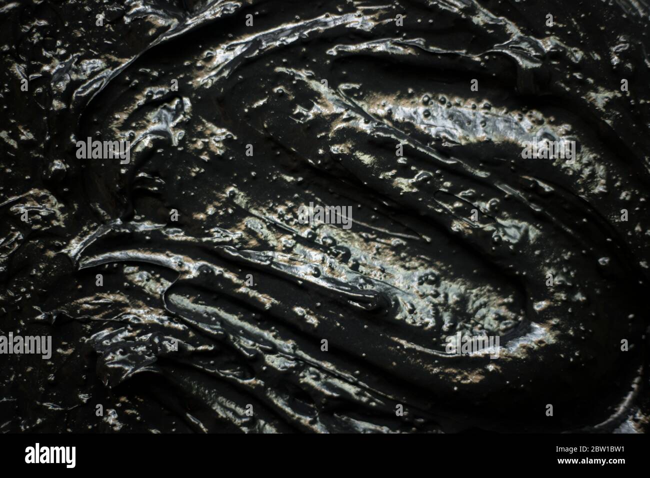 Textura de hoja lisa en blanco y negro fotografías e imágenes de alta