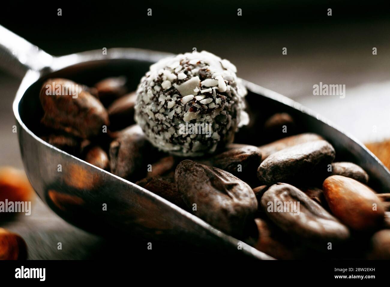 Caramelo de coco en granos de cacao que se ponen dentro de la cuchara de medición Foto de stock