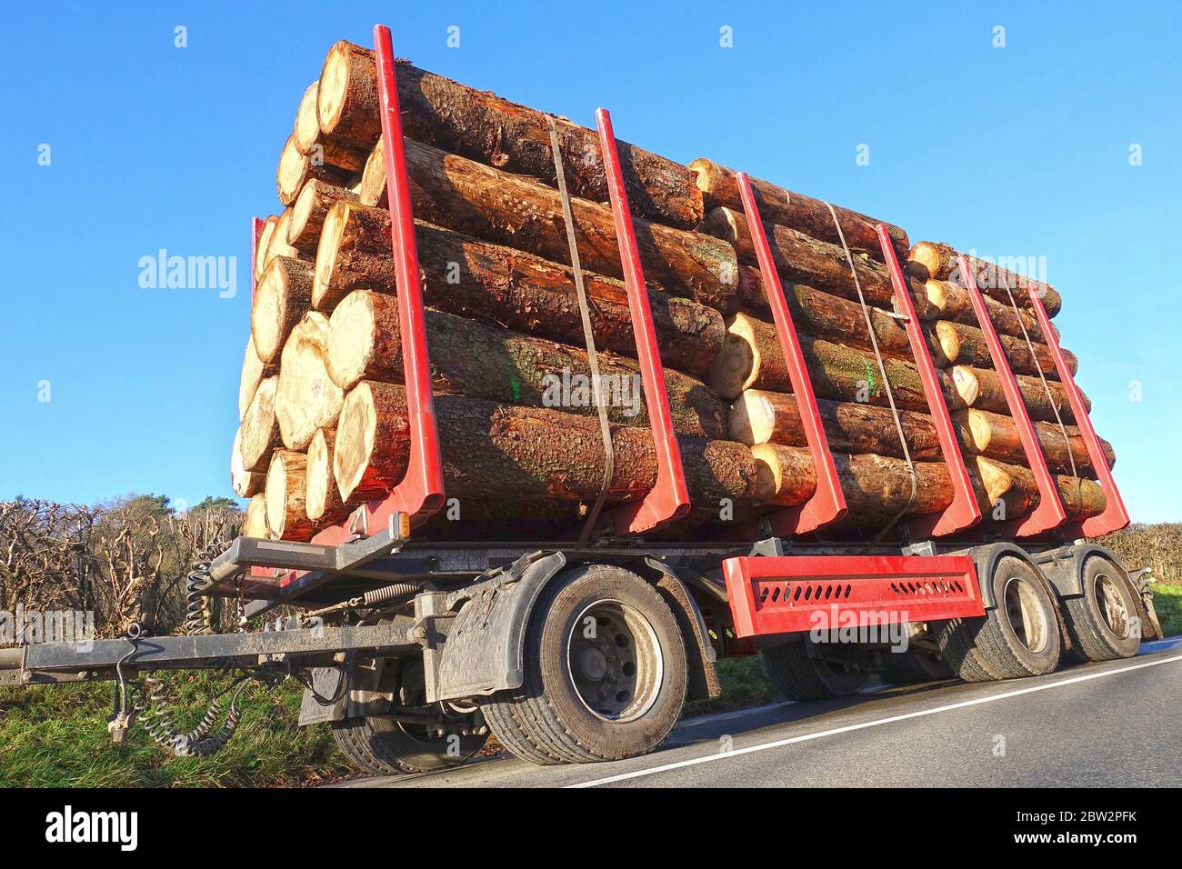 Camión de transporte de madera con pilas de madera recién cortada Foto de stock
