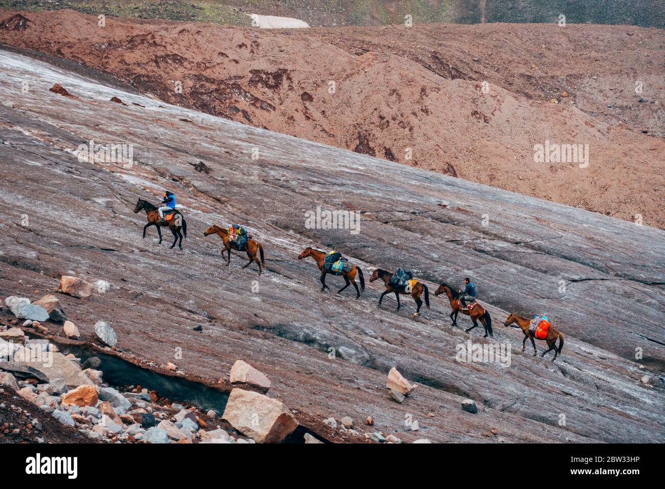 Una caravana de caballos que llevan suministros suben al glaciar en el Monte Kazbek, Georgia Foto de stock