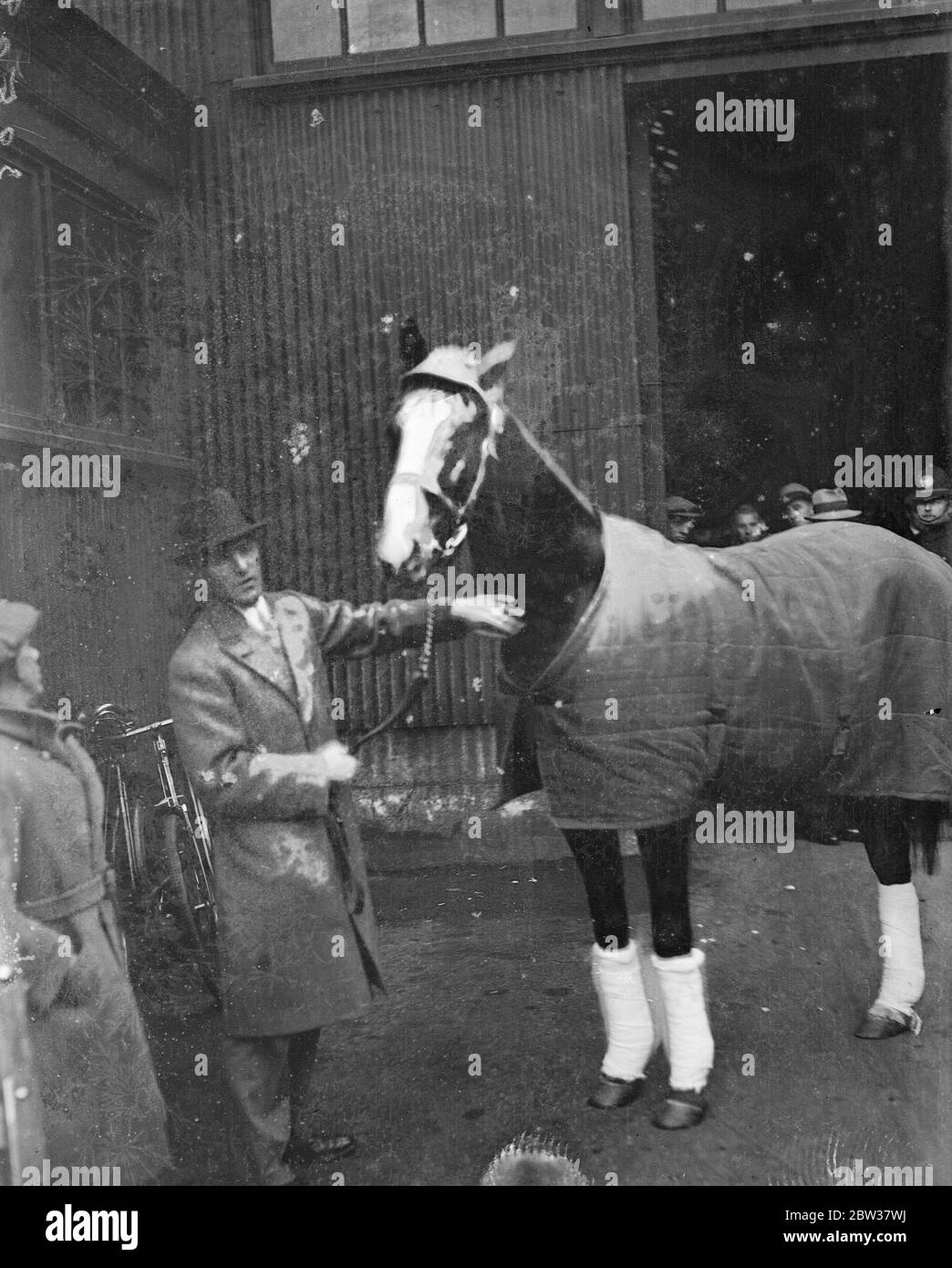 Llega el contendiente americano para la Copa de Oro Ascot, traído por el Sr. A C Bostwick . El Sr. A C Bostwick , el mayor de los hermanos Bostwick , que ha montado en Gran Bretaña con éxito bajo las reglas nacionales de caza llegó a Southampton a bordo del Berengaria . Él trajo consigo su caballo de la Copa de Oro de Ascot, Mate . Mate ha ganado muchas de las razas importantes en América y es considerado uno de los mejores caballos enviados a Gran Bretaña desde los Estados durante la última década. Muestra de fotos ; Mr A C Bostwick con Mate a la llegada a Southampton . 22 de diciembre de 1933 Foto de stock