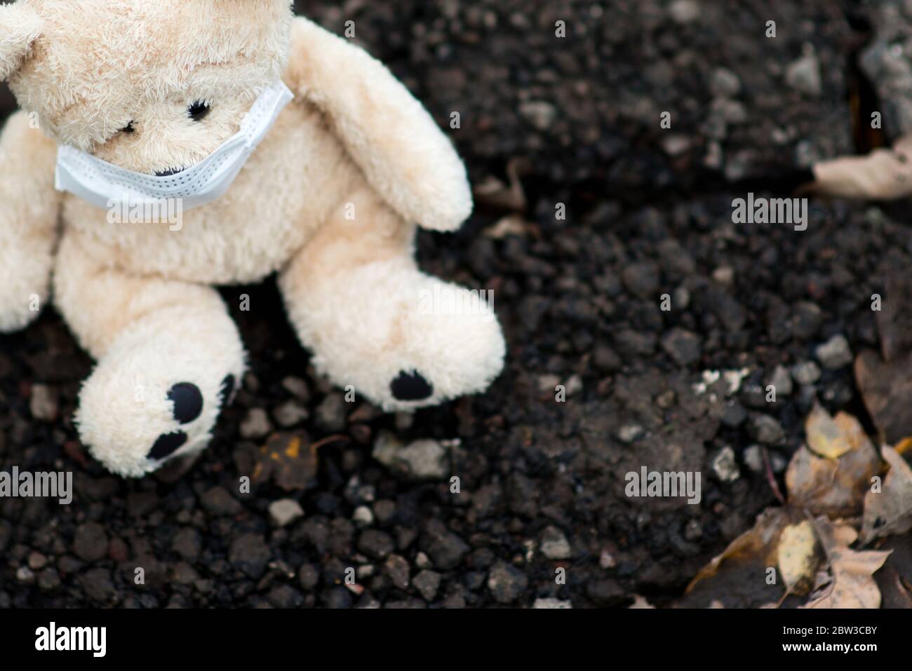 Close-up de lonely abandonados juguete osito de peluche en el bosque  Fotografía de stock - Alamy