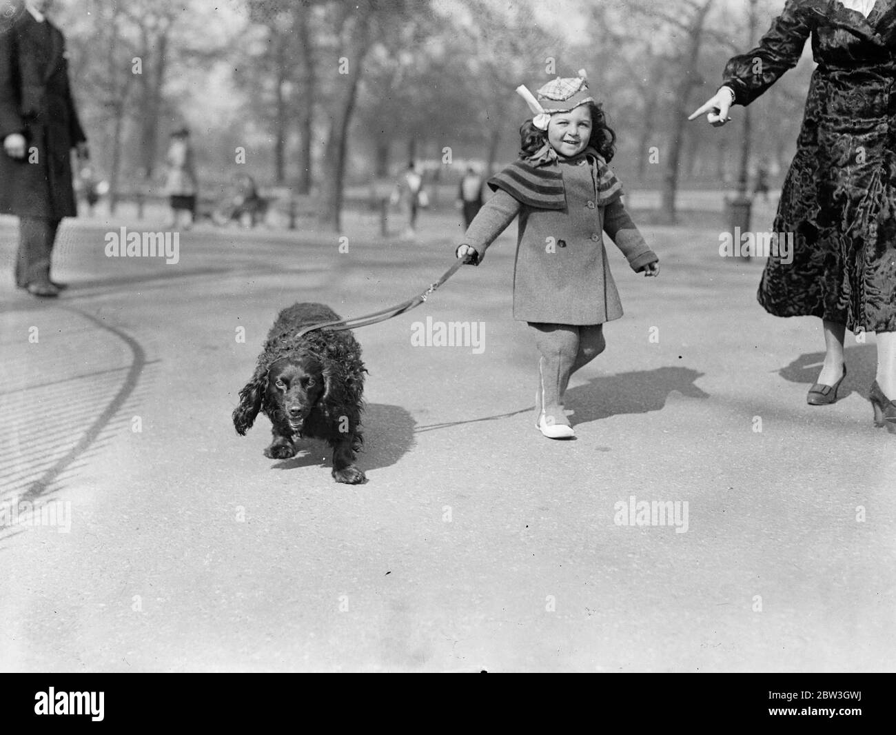 Cochecito en el sol de primavera. Little Joan Workman lleva a su perro a dar un paseo bajo el cálido sol de Hyde Park el primer día de la primavera. 21 de marzo de 1935 Foto de stock