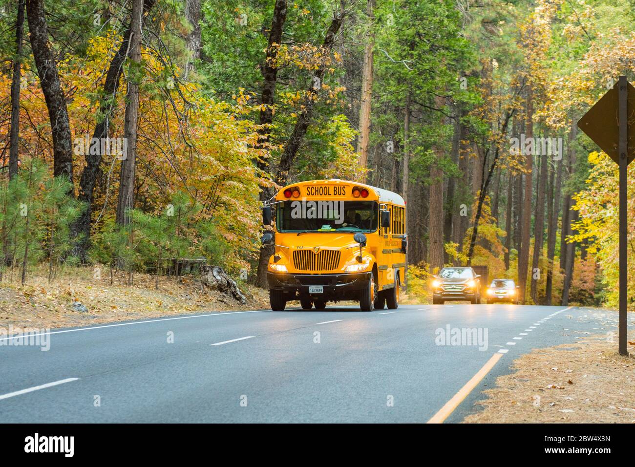 Autobús escolar en Northside Drive en el Parque Nacional Yosemite Foto de stock