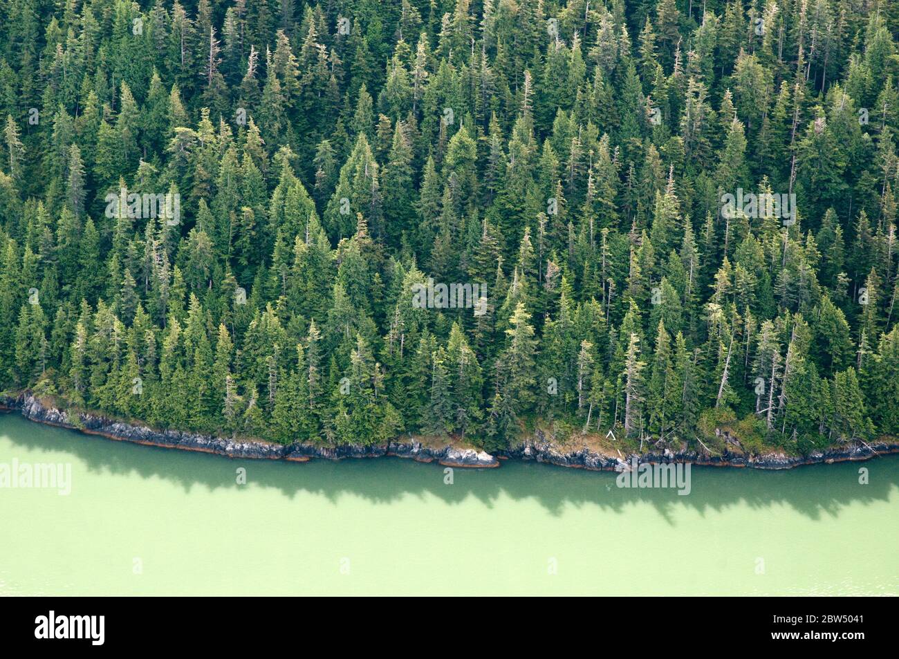 Vista aérea de las aguas llenas de sedimentos glaciales de Rivers Inlet, en el bosque tropical Great Bear, costa central del Pacífico de British Columbia, Canadá. Foto de stock