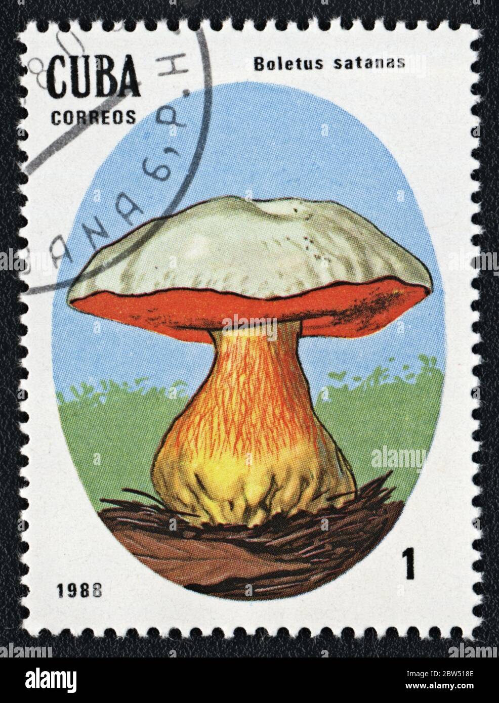 Boletus satanas hongo venenoso. Serie: Hongos incomestibles y venenosos. Sello postal Cuba 1988 Foto de stock