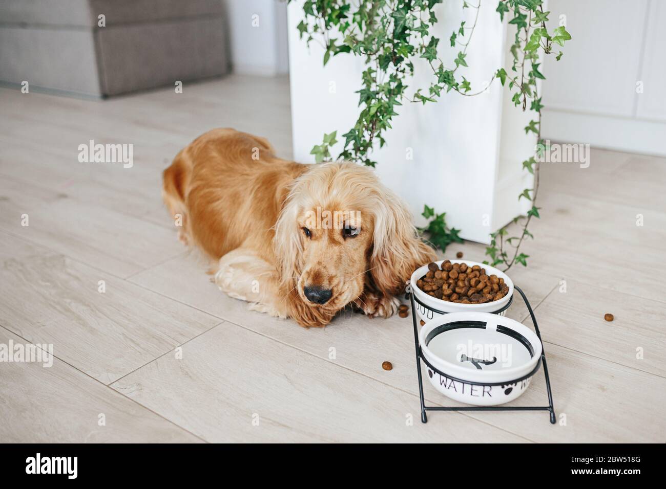 Perros de ceramica fotografías e imágenes de alta resolución - Página 4 -  Alamy