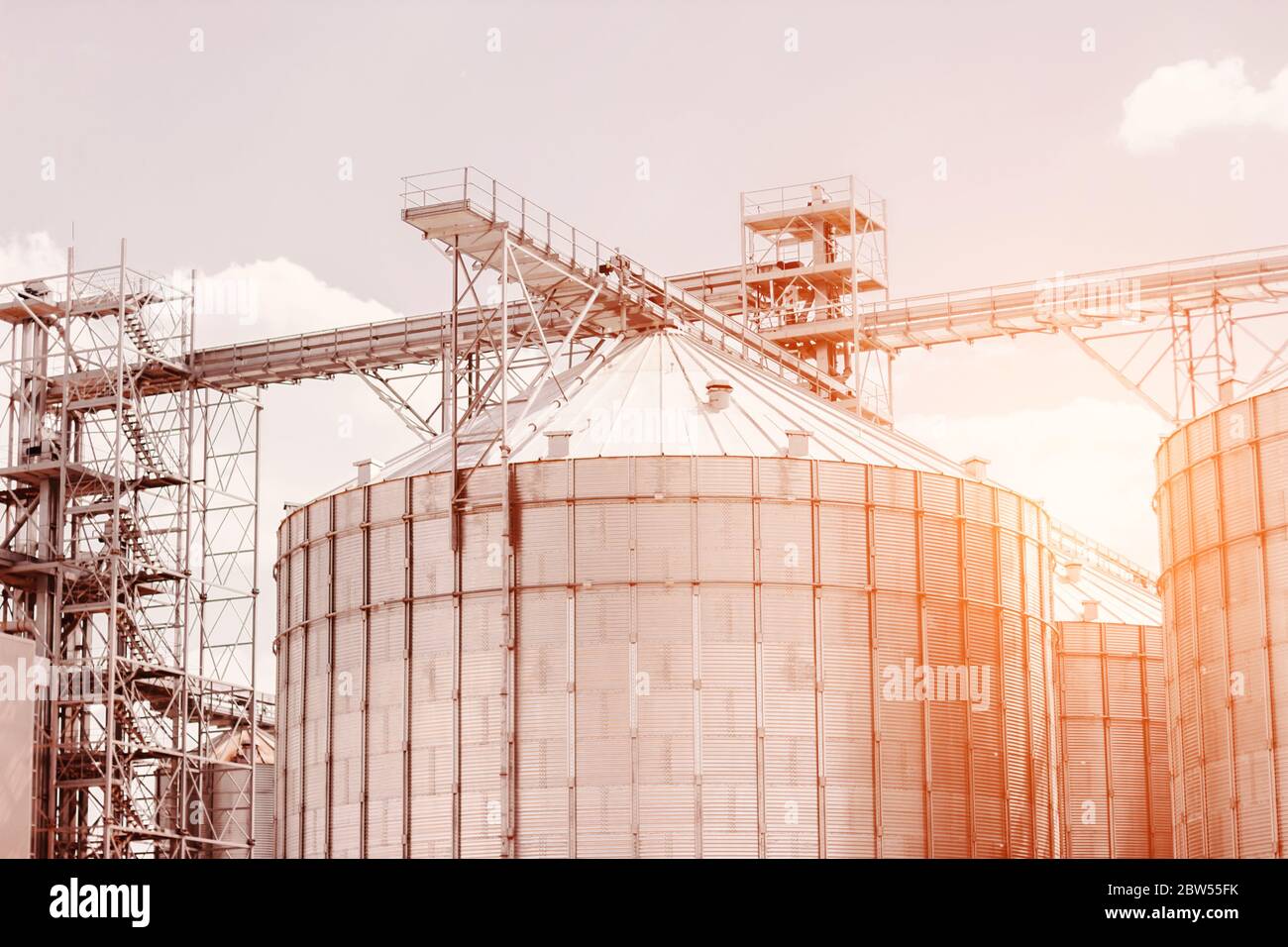 Edificio moderno de silos agrícolas exterior. Almacenamiento, secado y procesamiento de grano crudo, trigo, maíz, productos de cosecha. Torre de almacén de grano. Agricul Foto de stock