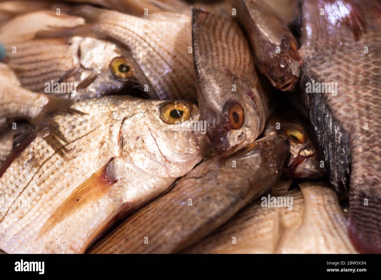 Pescado fresco en el mercado. Enfoque de alimentos marinos de escamas y piel de los peces del mar. Foto de stock