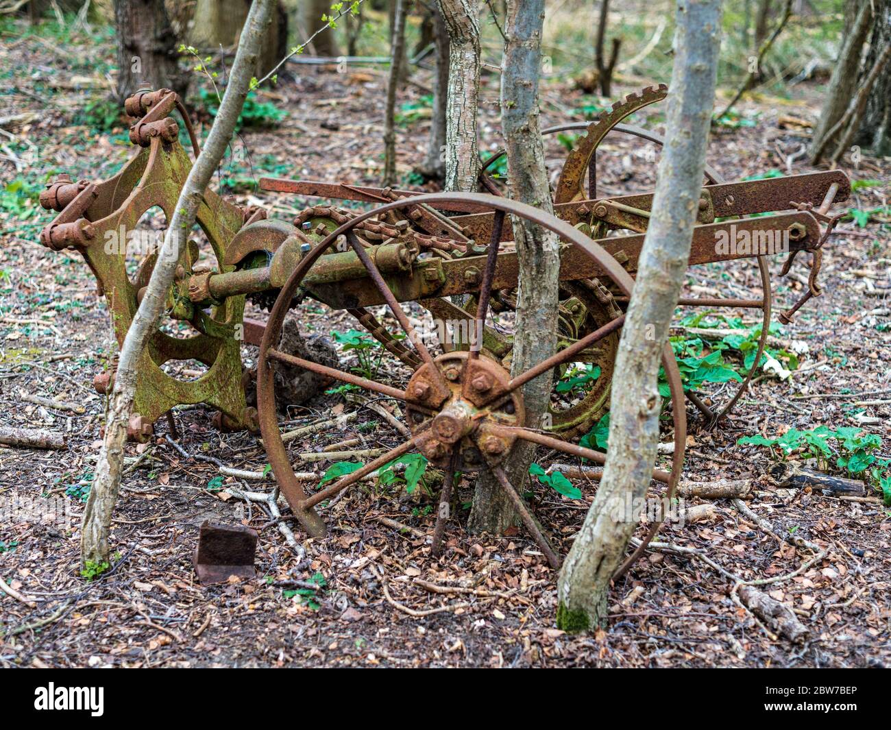 Antigua maquinaria agrícola abandonada en bosques en Cambridgeshire Reino Unido Foto de stock