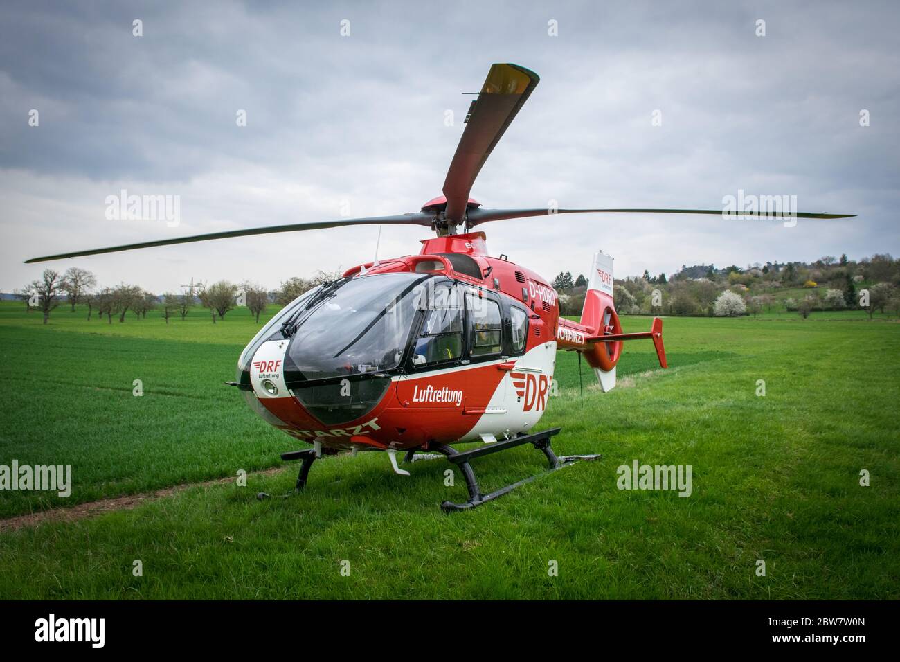 Rettungshubschrauber der DRF Luftrettung 'Christoph 41' mit der Kennung D-HDRQ auf einem Feld zur Unterstützung bei einem Verkehrsunfall Foto de stock