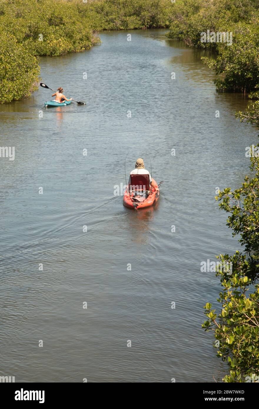 Un par de kayakers hacen su camino por el canal Oyster Creek en Englewood, Florida. Foto de stock
