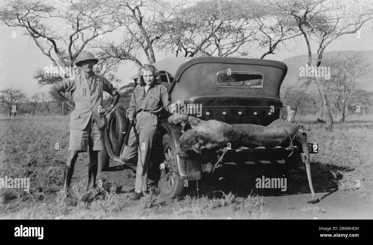 Edwina Booth con Sydney Waller y un león fusilando Tanganyika . 19 de noviembre de 1929 Foto de stock