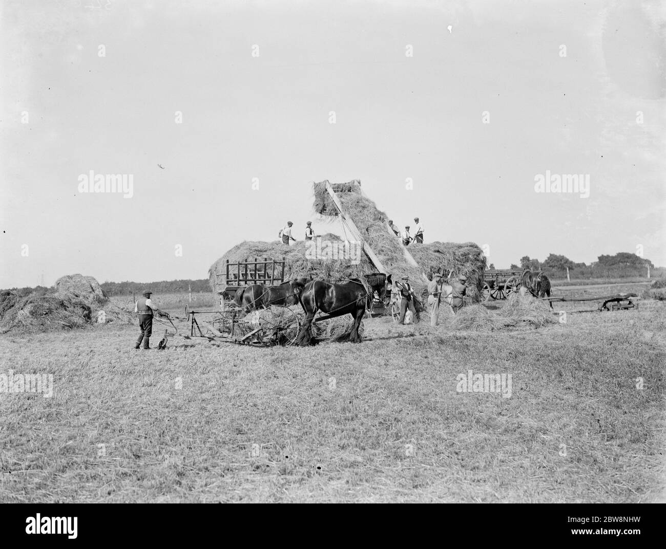 Los trabajadores agrícolas en Farningham con su equipo de caballos recogen heno. 1935 Foto de stock