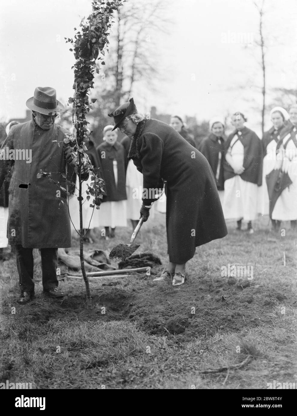 Lady Kemp planta un árbol en el Memorial Hospital en Shooters Hill, Londres. 1938 . Foto de stock