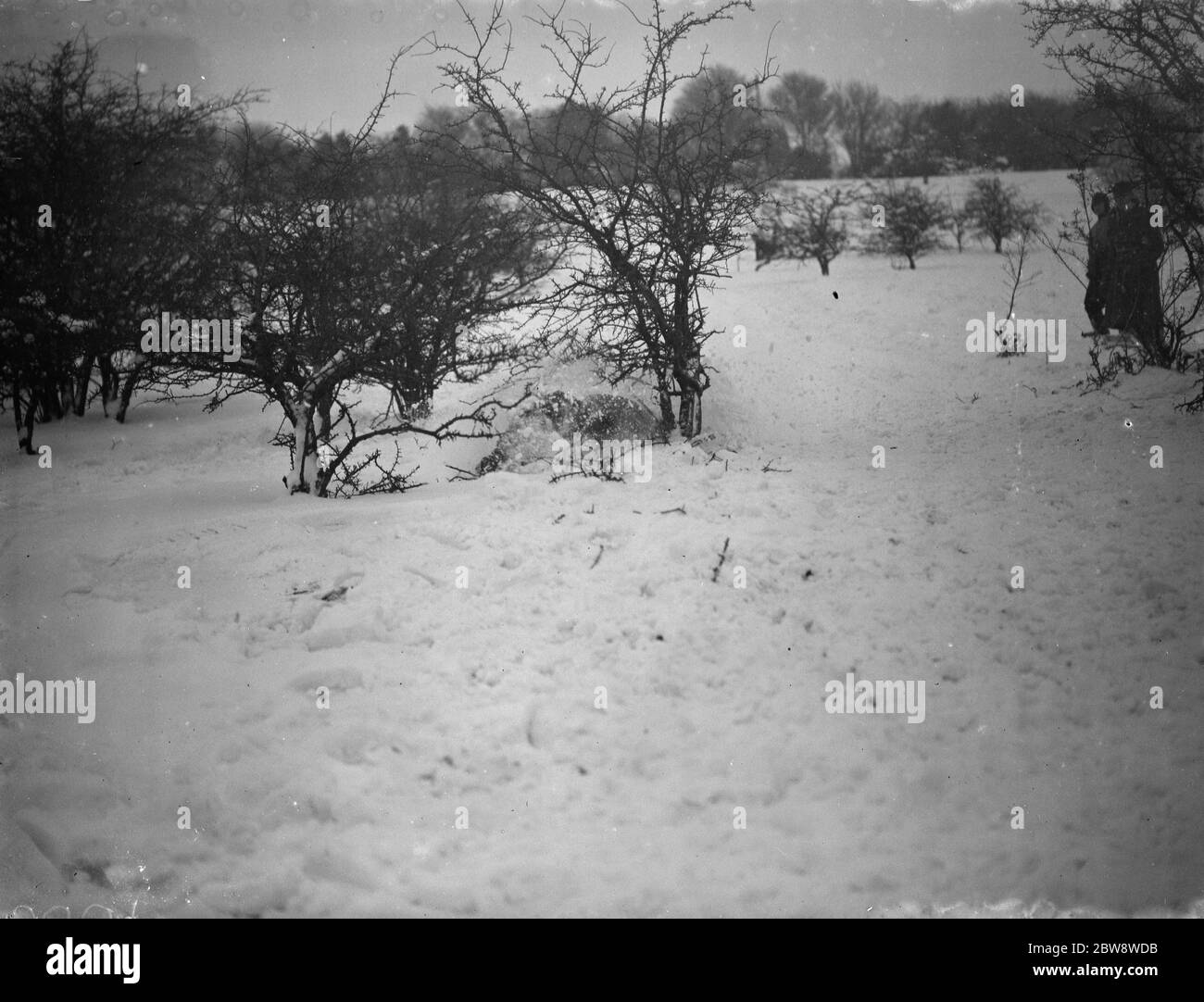 Toboganes en Eynsford Hills en Eynsford, Kent . 1938 Foto de stock