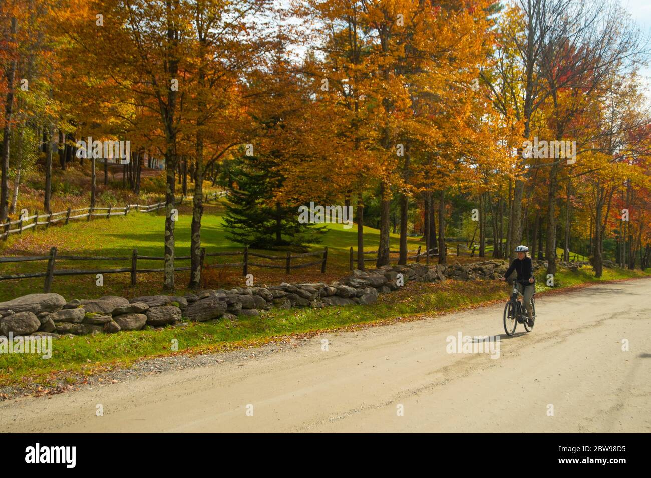 Un ciclista jinete su bicicleta en una carretera de campo en Stowe, Vermont durante el follaje de otoño. Foto de stock