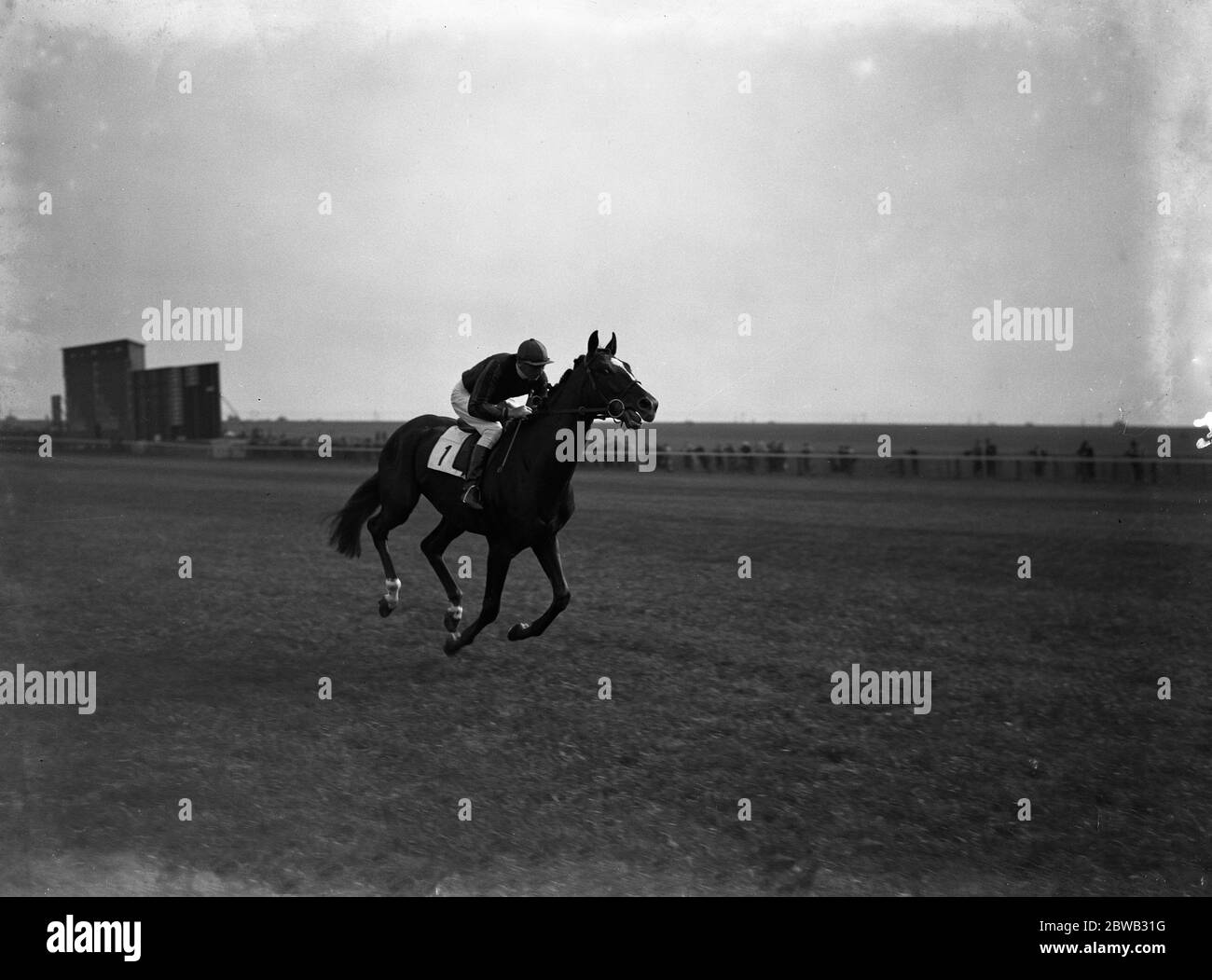 En el hipódromo de Newmarket , el caballo de carreras , el ' Príncipe del río ' hace su manera abajo del curso. 29 de septiembre de 1937 . Foto de stock