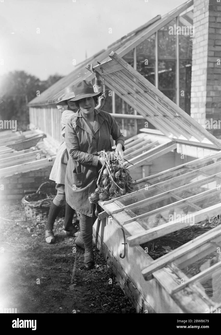 Lady de Bathe ( anteriormente Miss Lily Langtry ) , trabajando en su granja en Newmarket , Suffolk . 1919 Foto de stock