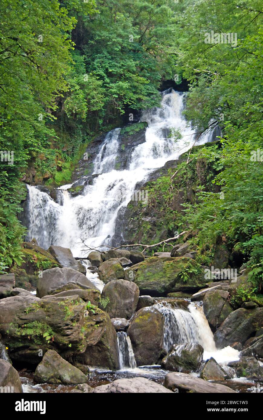 Cascada de Torc en el Parque Nacional de Killarney, Irlanda Fotografía de  stock - Alamy