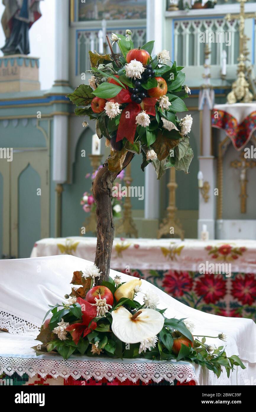 Arreglo floral en un altar mayor en la iglesia parroquial de San Antonio de  Padua en Vocoder, Croacia Fotografía de stock - Alamy