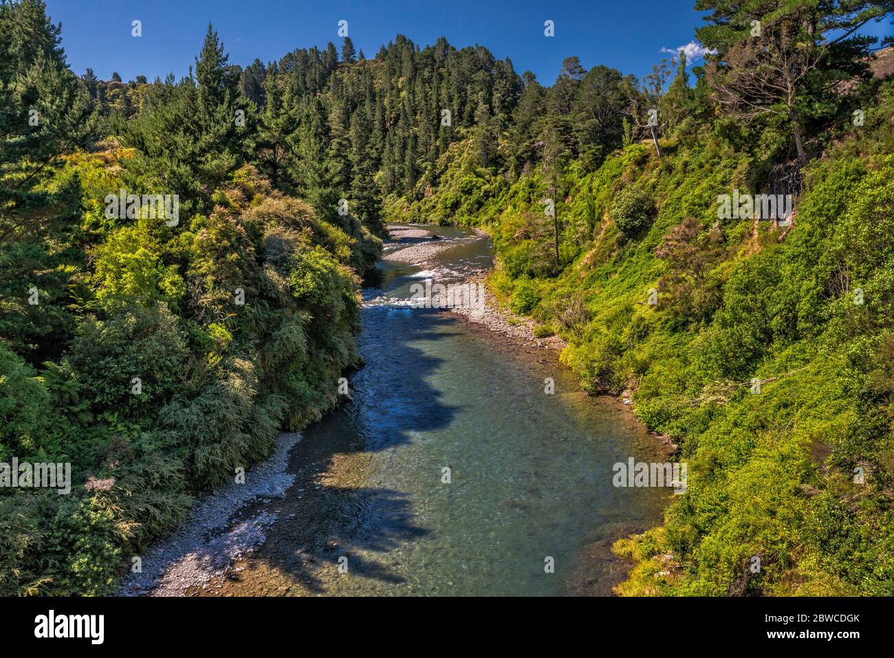 Río Ngaruroro, montañas de la cordillera Kaweka, Parque Forestal Kaweka, de Taihape Road cerca del campamento Kuripapango, Región de la Bahía Hawke, Isla Norte Nueva Zelanda Foto de stock