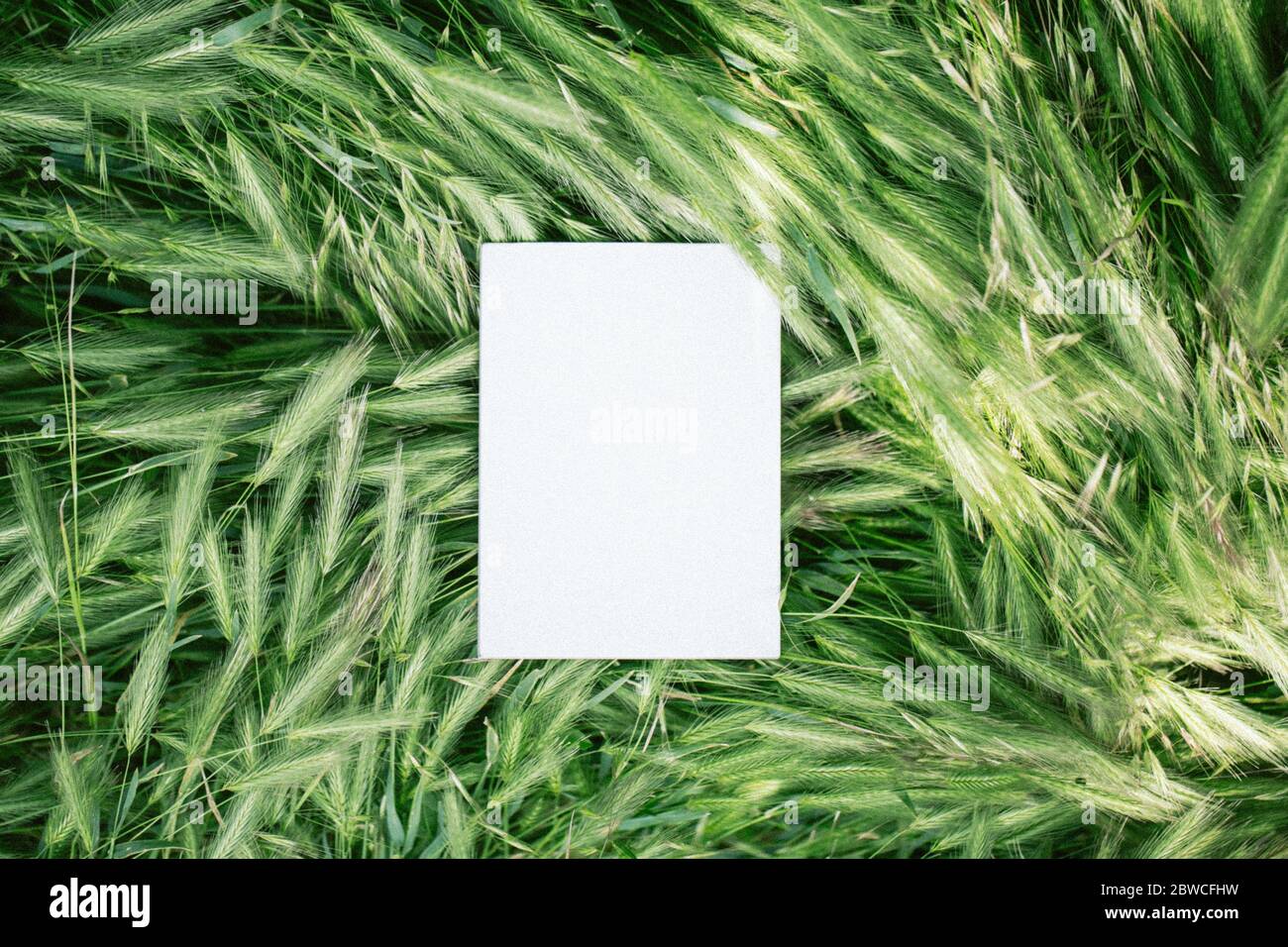 Cuaderno blanco o pedazo de papel