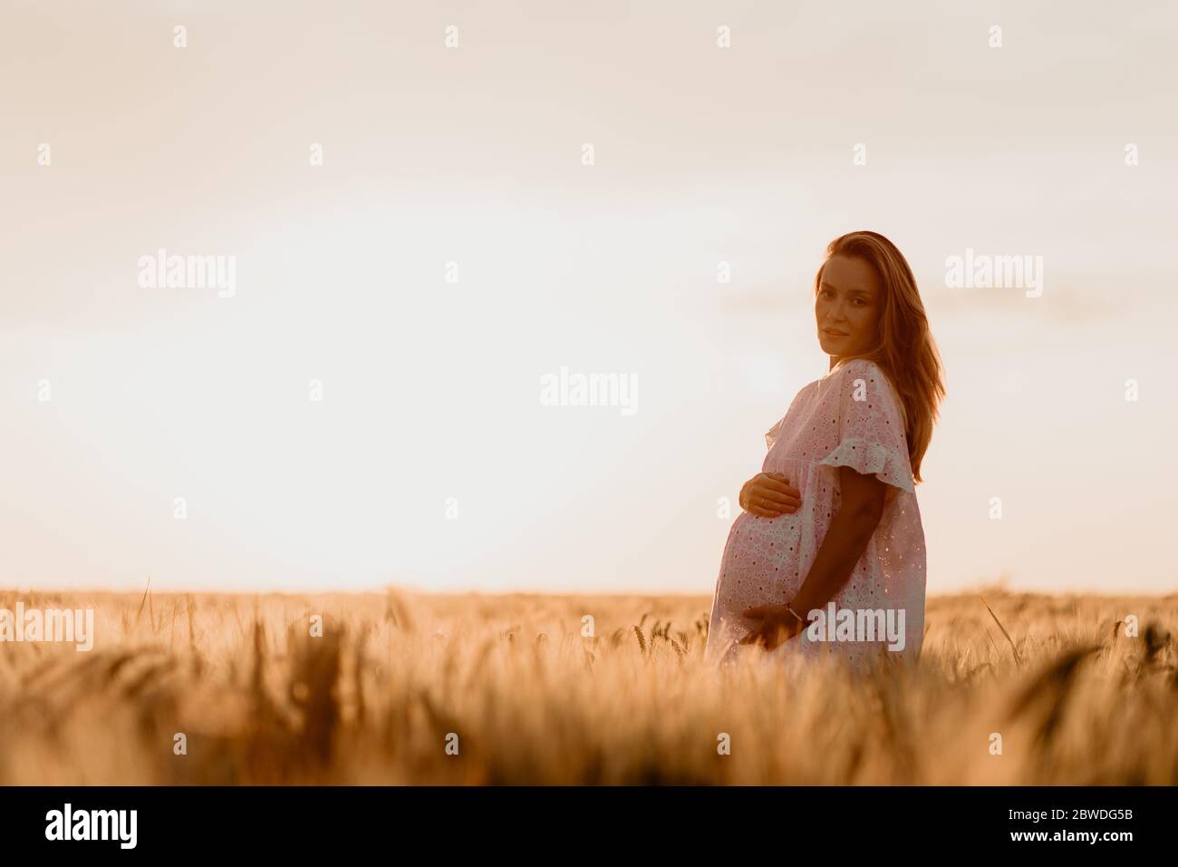 Joven hermosa mujer embarazada mirando al lado y tocando su vientre en el campo de trigo naranja en un soleado día de verano. La naturaleza en el país. Mira Foto de stock