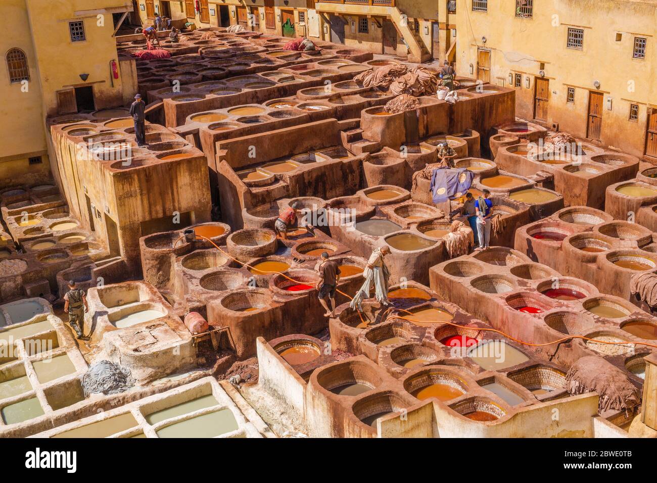 Los hombres marroquíes locales trabajan en una curtiduría en Fez, Marruecos Foto de stock