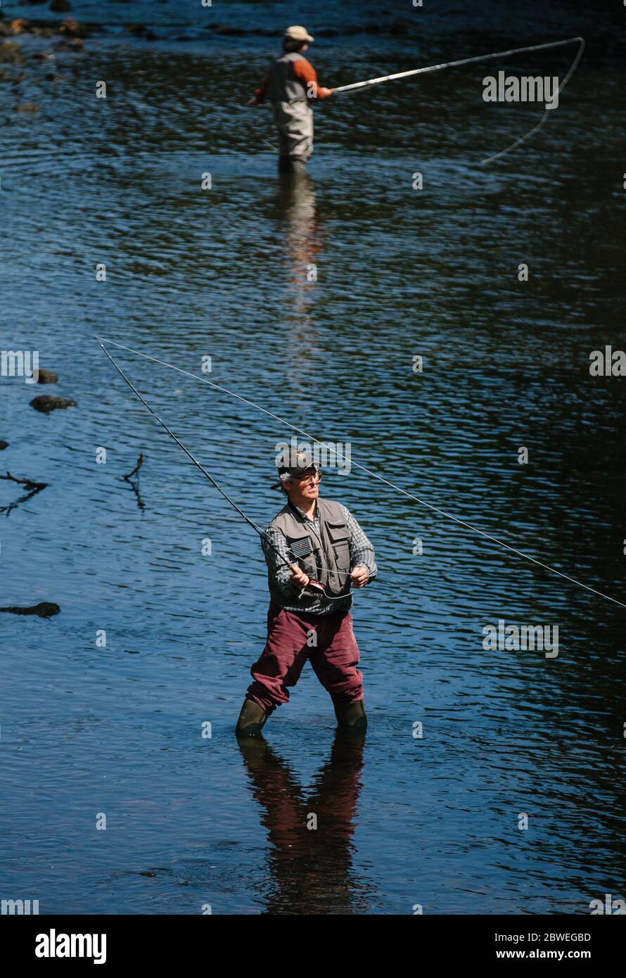 Pesca con mosca en el río Kelvin, Glasgow, Escocia, Reino Unido Foto de stock