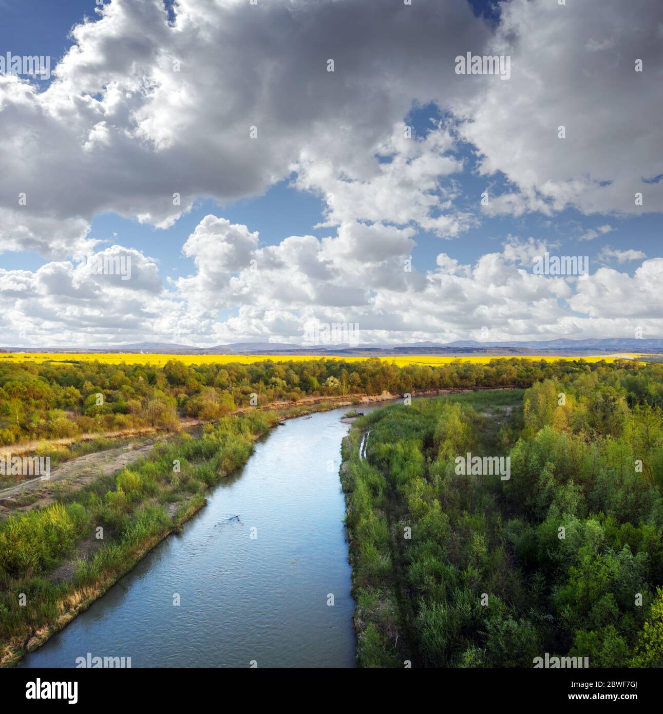Vuelo a través del majestuoso río Dnister, el exuberante bosque verde y los florecientes campos de colza amarilla al atardecer. Ucrania, Europa. Fotografía de paisajes Foto de stock