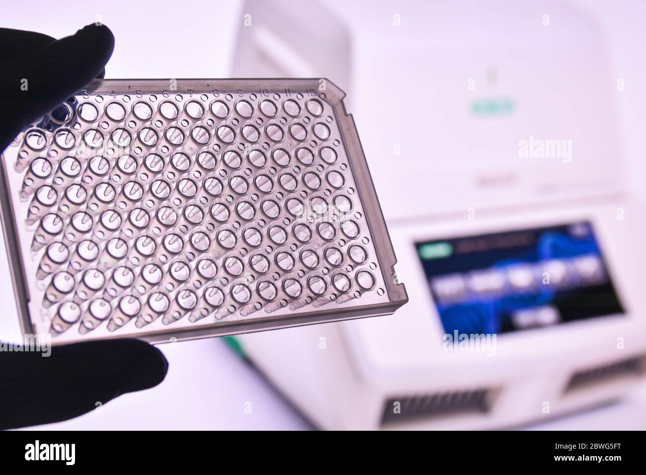 Placa de PCR de 96 pocillos. Equipo para amplificación en tiempo real  Fotografía de stock - Alamy