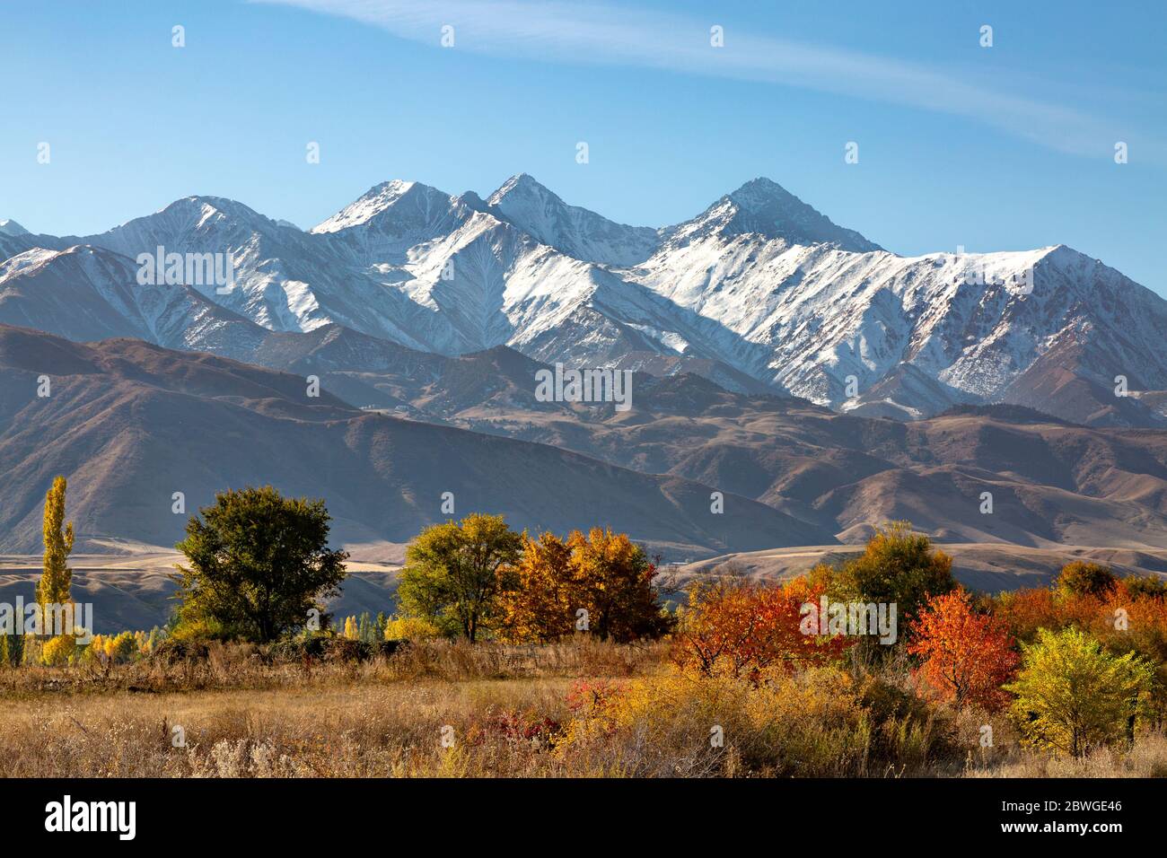 Colores otoñales en Bishkek, Kirguistán con las montañas Tien Shan en el fondo, en otoño Foto de stock