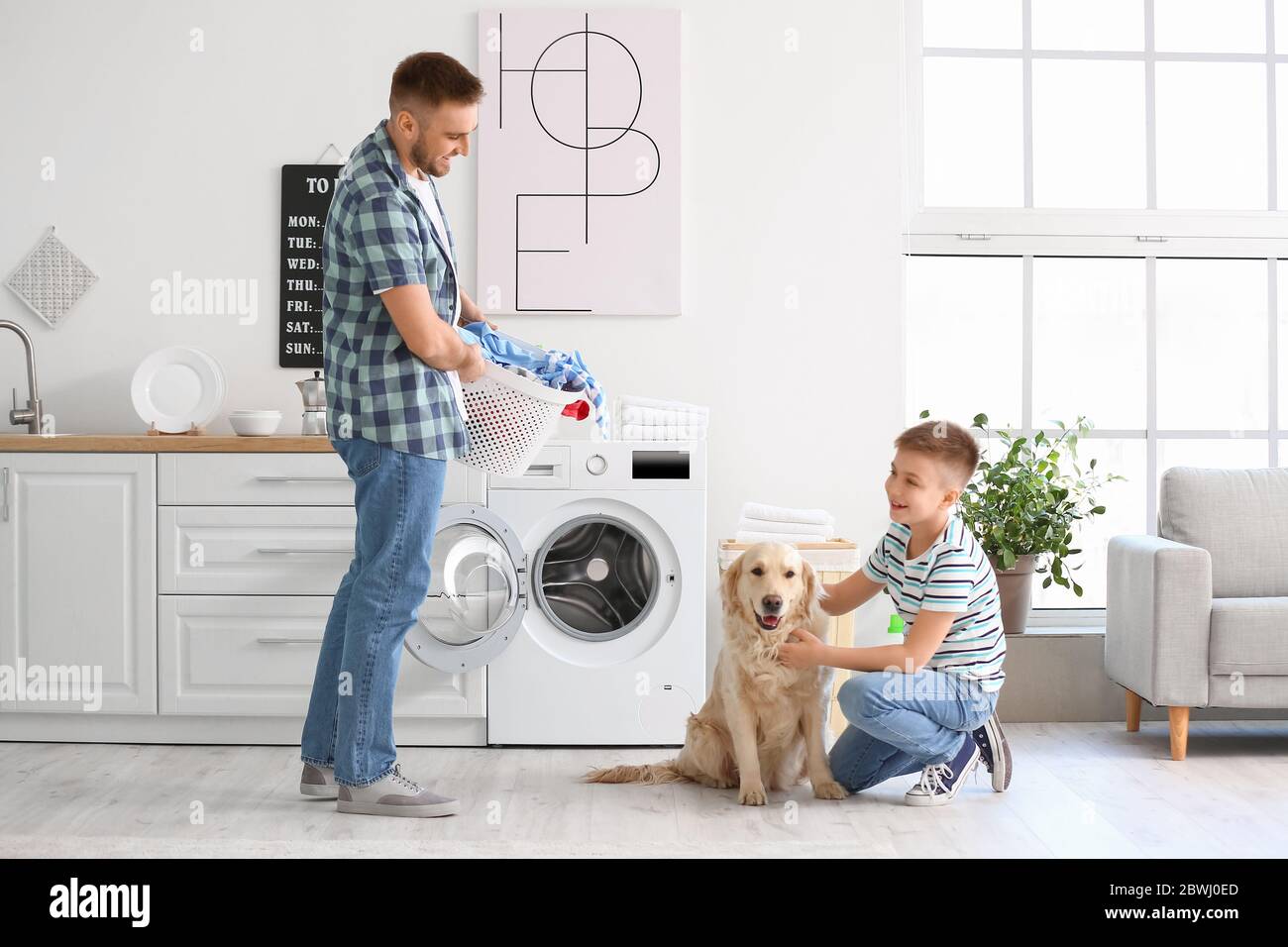 poses de perro pedigrí en la lavandería con lavadora y pila de ropa sucia  en la cesta. interior de la habitación doméstica. pared blanca. plancha  para planchar ropa limpia 8866360 Foto de