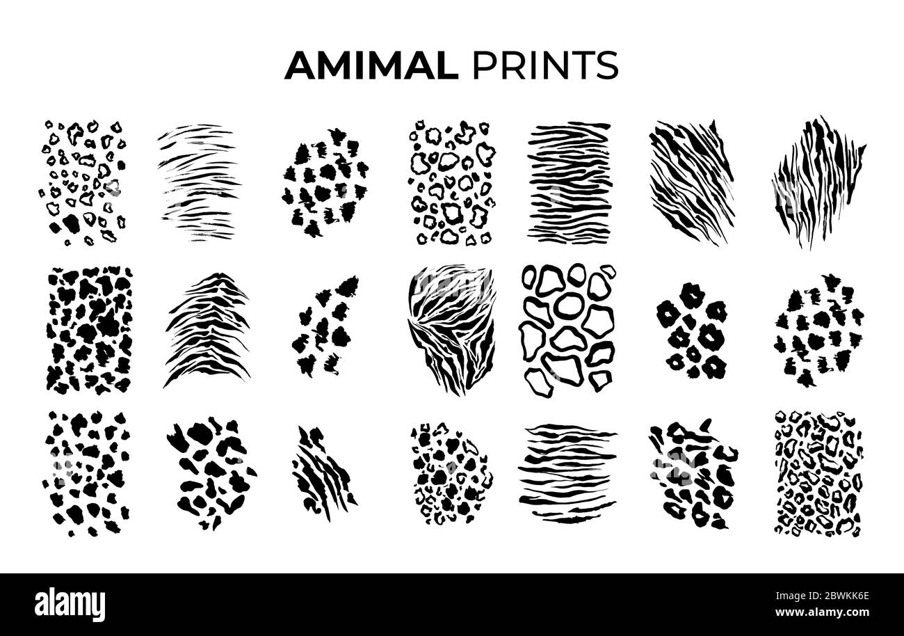 Negro y blanco tigre imprime patrones, animales safari piel de grandes gatos. Leopardo, jaguar y cebra, elementos de decoración de textura vectorial. Los animales de safari imprimen patrones, pantera cheetah y jirafa Ilustración del Vector