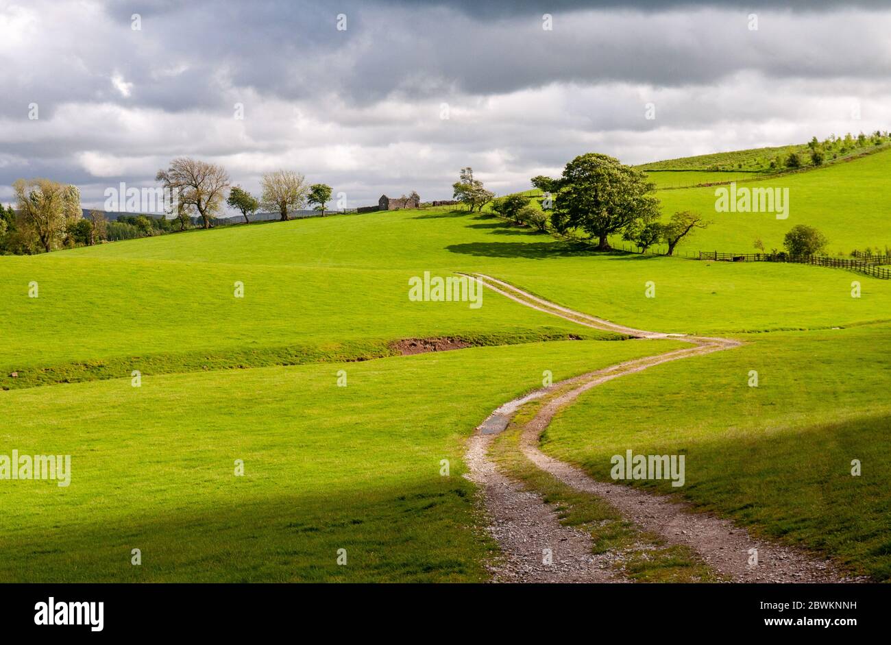 Una pista de granja recorre campos de pastos hacia un granero de piedra en ruinas en las colinas South Pennings de Yorkshire. Foto de stock
